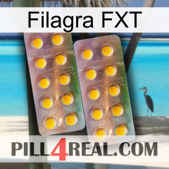Filagra FXT new10